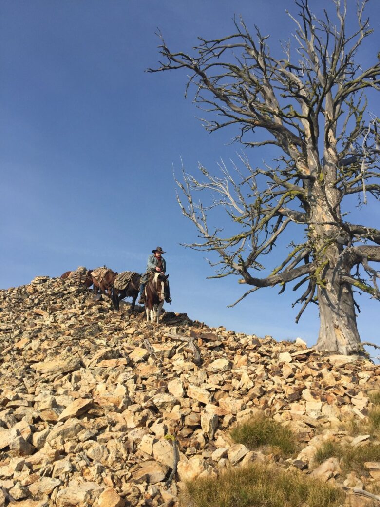 Sulphur Creek Ranch Nestled in the Heart of Idaho's Backcountry Treks