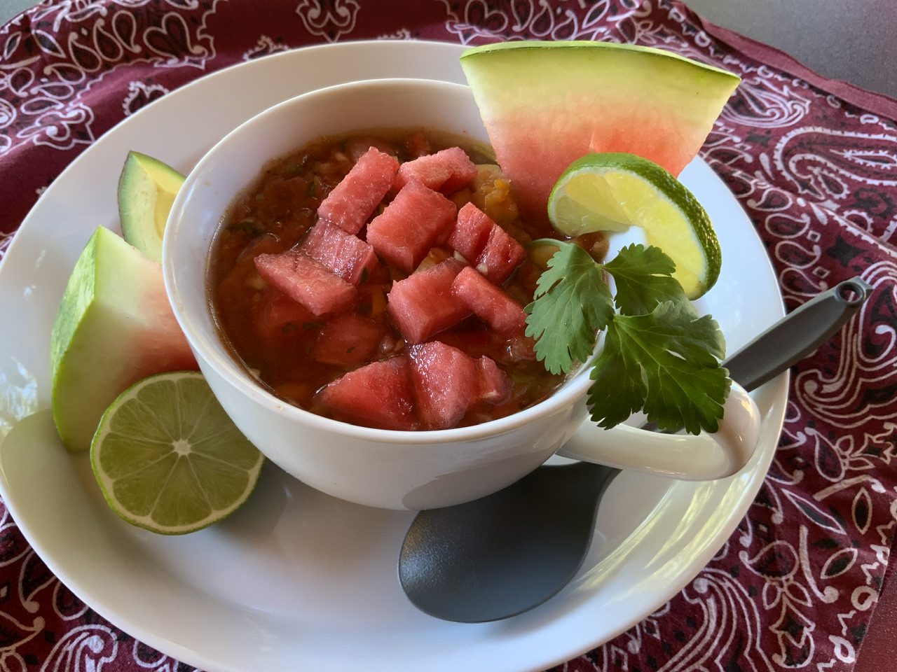 Treks Watermelon Gazpacho 2 Treks IMG 3971