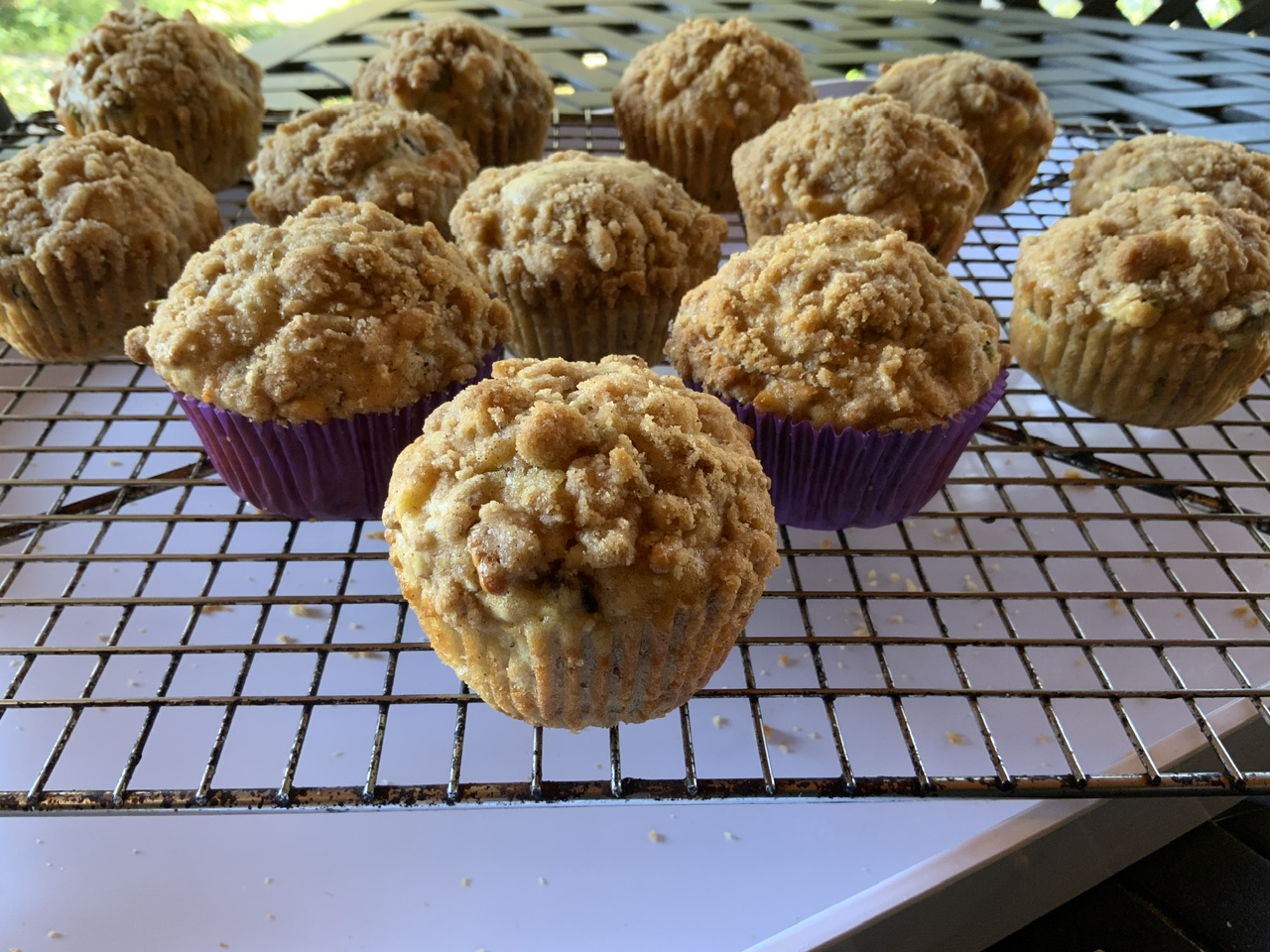 Treks Morning Glory Muffins 1 Treks IMG 4874